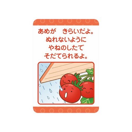 Vegetable and Fruits Matching Card Set image 2