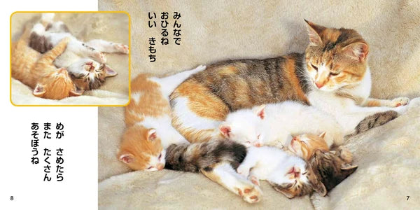 Kawaii Koneko Picture Book