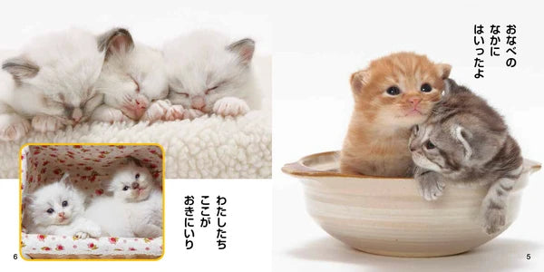 Kawaii Koneko Picture Book
