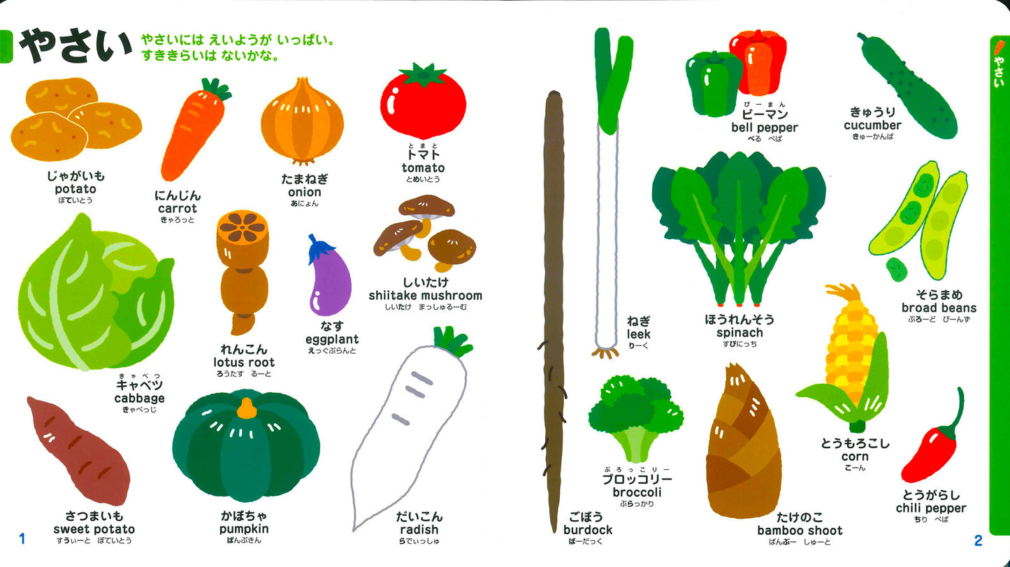 Children's Illustrated Encyclopedia of Things - Kodomo Monoshiri Zukan
