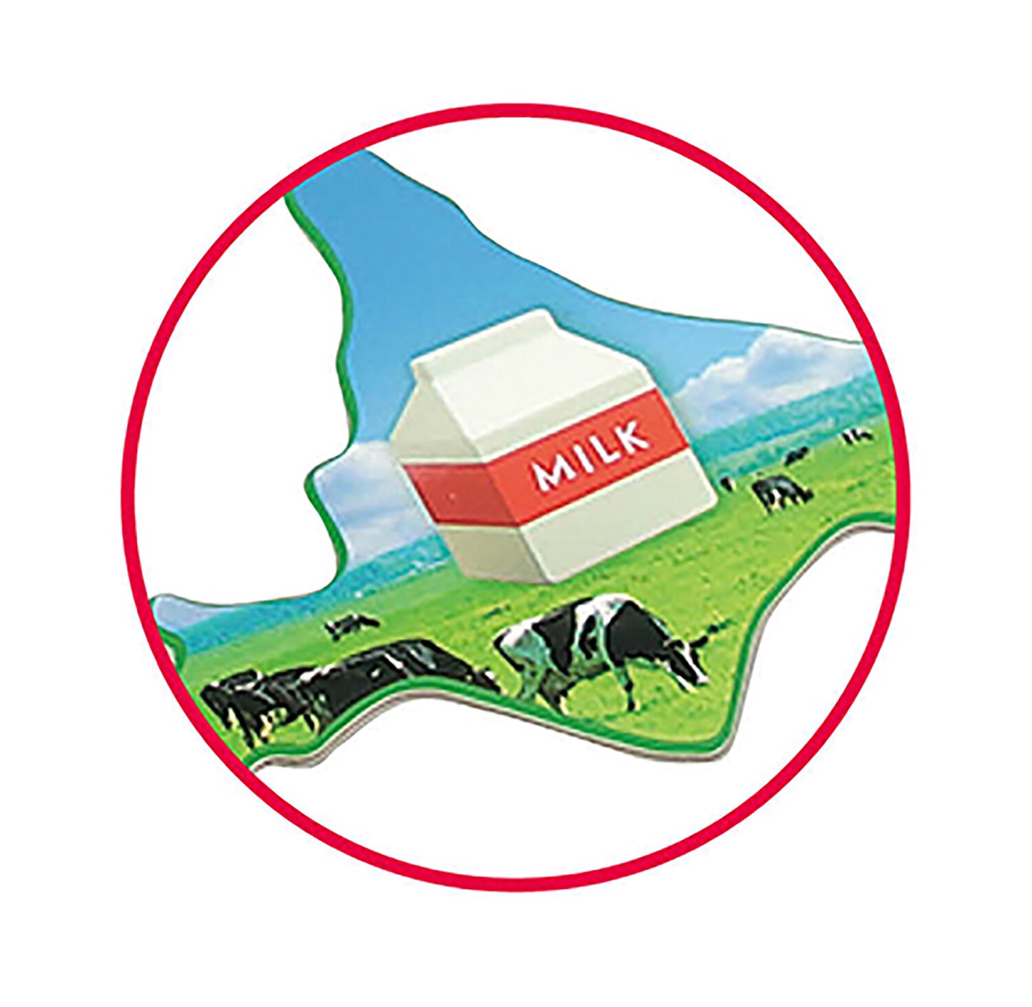 Real Photo Japan Prefecture Todoufuken Map Puzzle