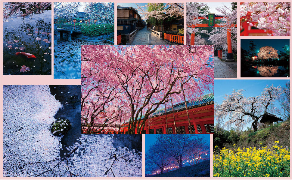 The Japanese Soul Flower: SAKURA