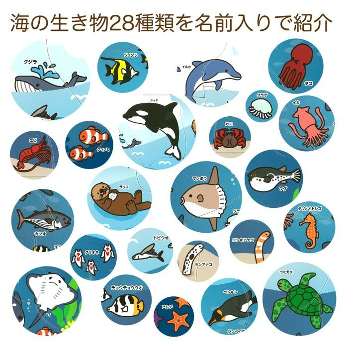 Marine Life Vocabulary Katakana Puzzle – 20 Pieces