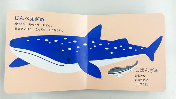 Umi no Nakama Storybook by Hayashi Natsuko