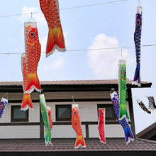 50cm-1.5m Koinobori Carp Streamer 5PC Set (5 colours, 5 sizes) [pole sold separately] image 2