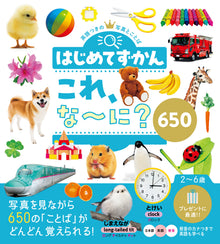 Hajimete Zukan Kore, nani? My First Encyclopedia