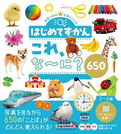 Hajimete Zukan Kore, nani? My First Encyclopedia