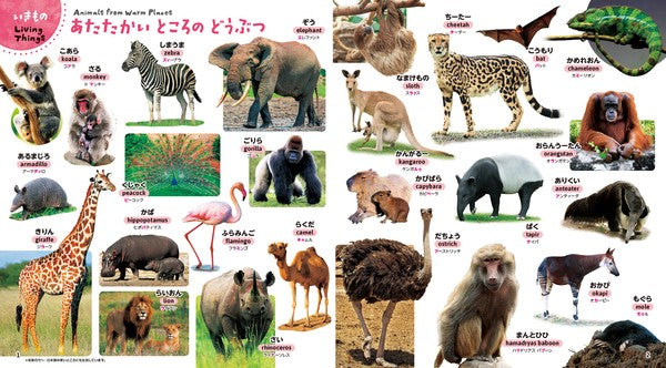 Hajimete Zukan Kore, nani? My First Encyclopedia