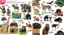 Hajimete Zukan Kore, nani? My First Encyclopedia