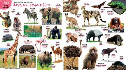 Hajimete Zukan Kore, nani? My First Encyclopedia
