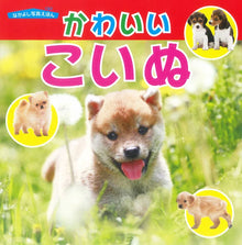 Kawaii Koinu Picture Book