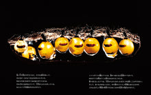 In Search of the Honey Ant: A Journey with an Aboriginal Family