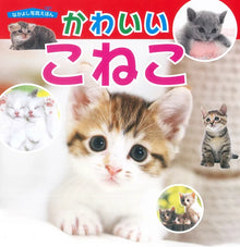 Kawaii Koneko Picture Book