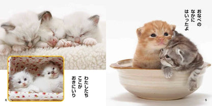 Kawaii Koneko Picture Book