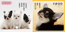 Kawaii Koinu Picture Book