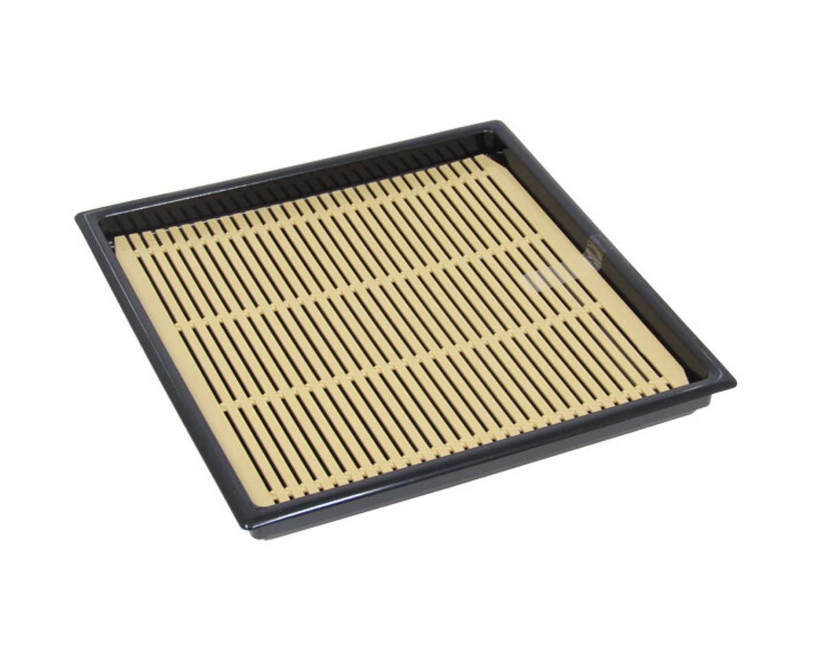 Square Soba Noodle Plate