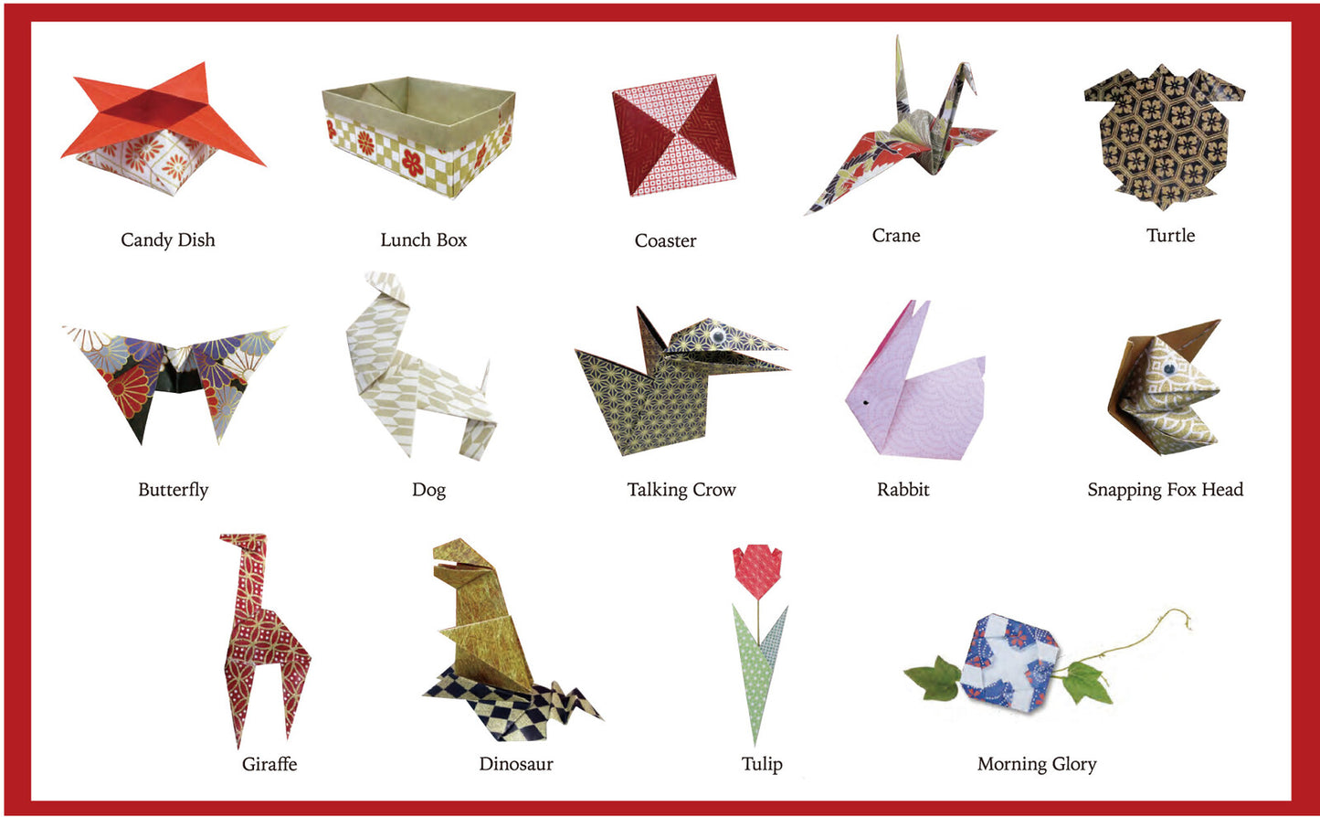 Easy and Fun Origami For Everyone