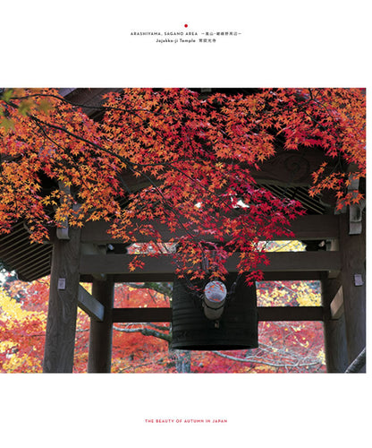 The Beauty of Autumn in Japan