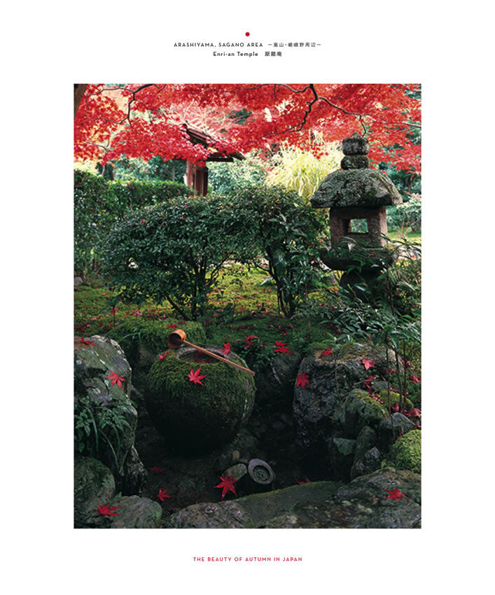 The Beauty of Autumn in Japan