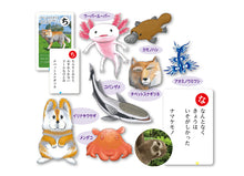 Strange Creatures Karuta Card Game Set