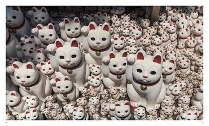 OFFBEAT JAPAN: An Exploration of the Quirky and Outlandish