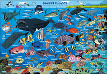 Sea Creatures Vocabulary Katakana Puzzle – 48 Pieces